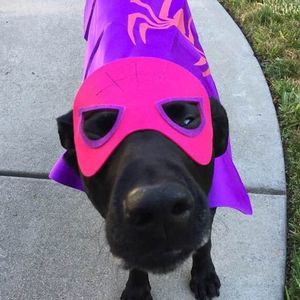 Meet your Posher, Terri